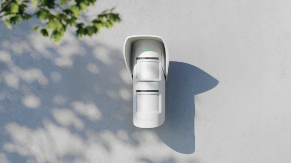 Un objet blanc est posé sur une surface blanche à côté d'un arbre.