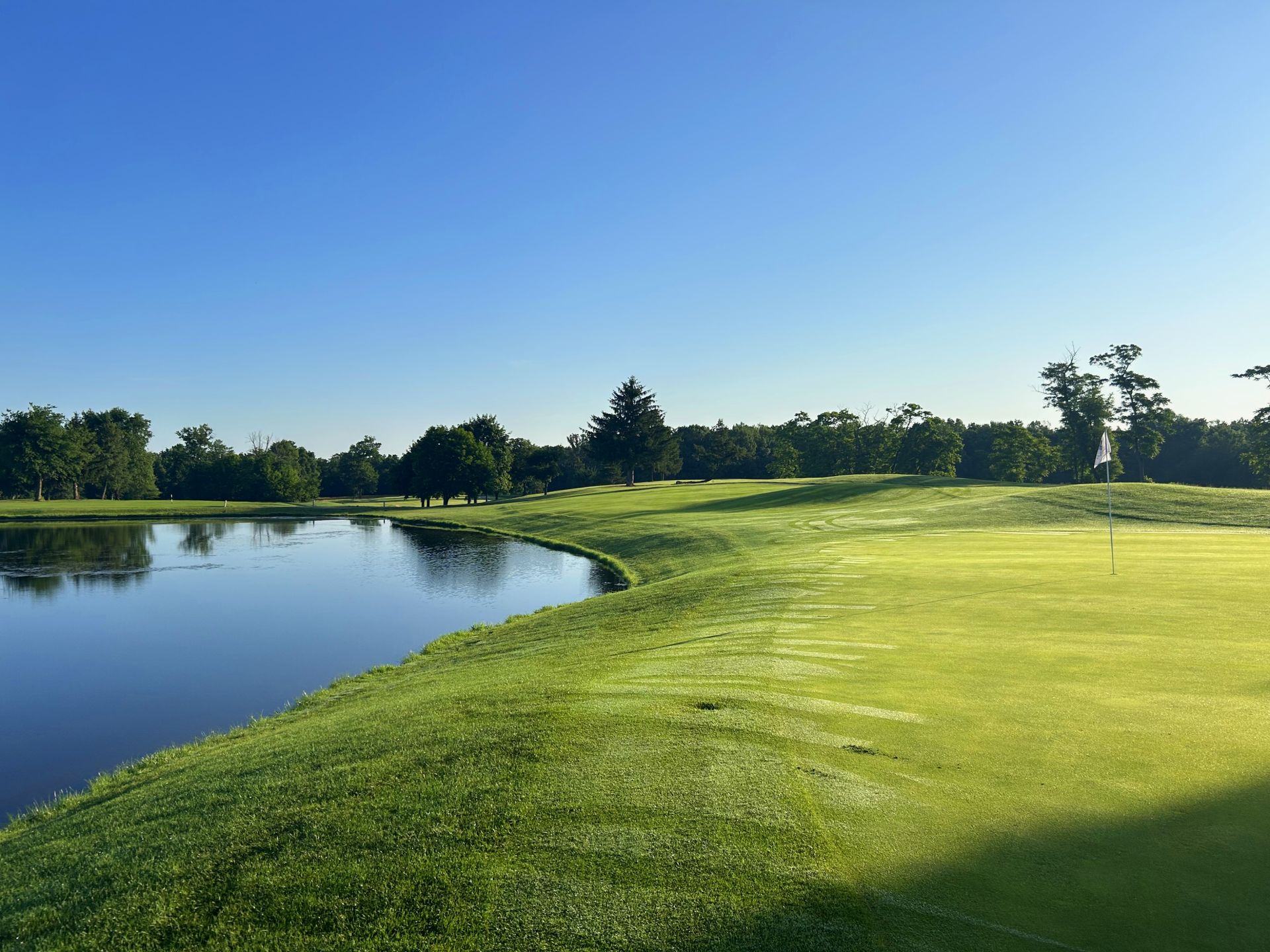 A group of people are playing golf on a green surrounded by trees