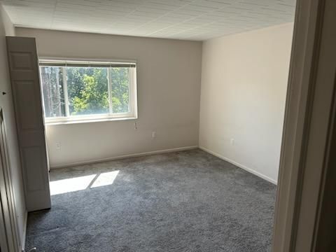 An empty bedroom with a large window and a gray carpet.