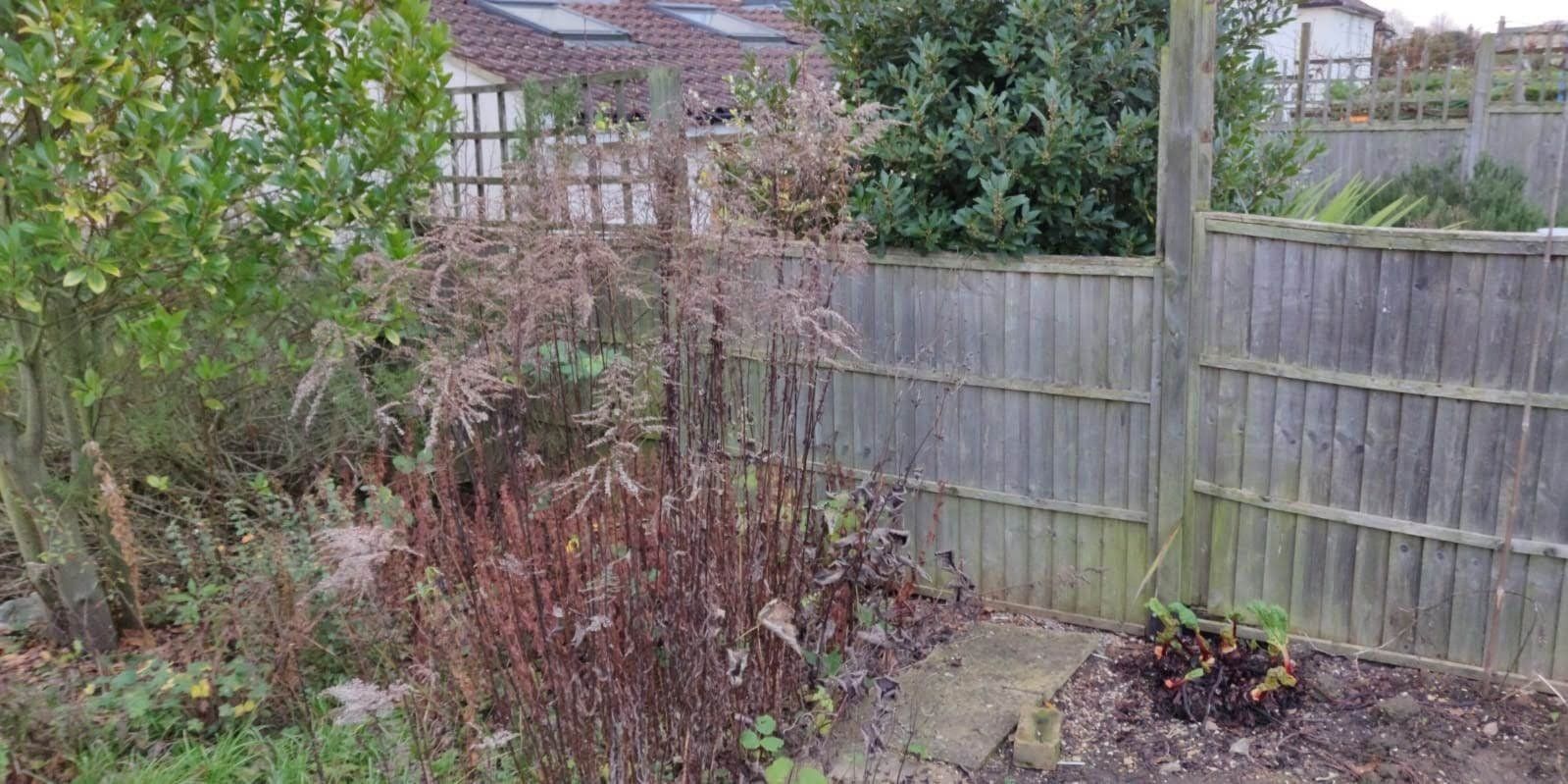 Broken fence needing much repair with missing trelliss top