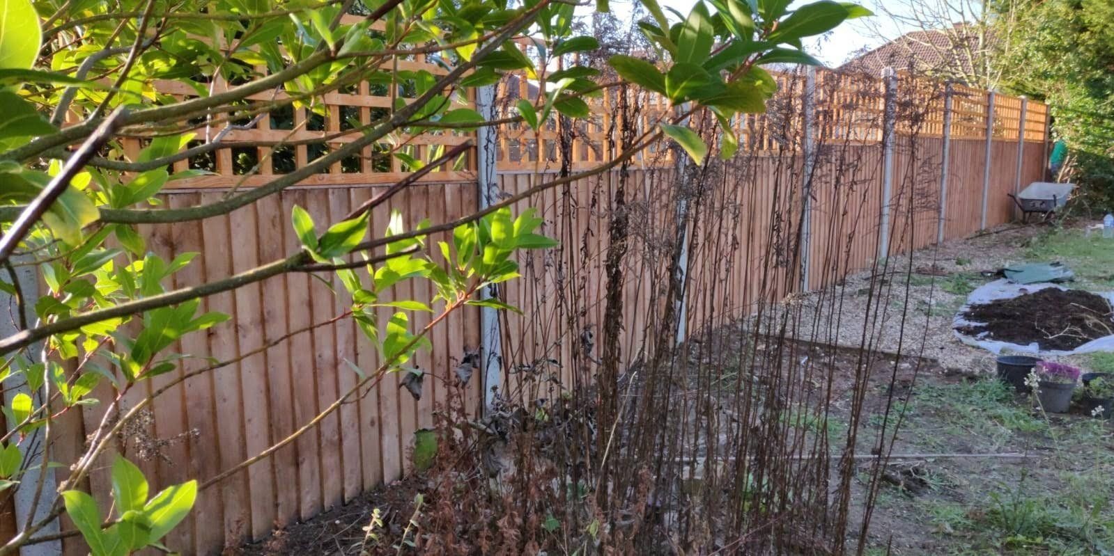 New replacement for old fence with concrete posts and topped with trellis.
