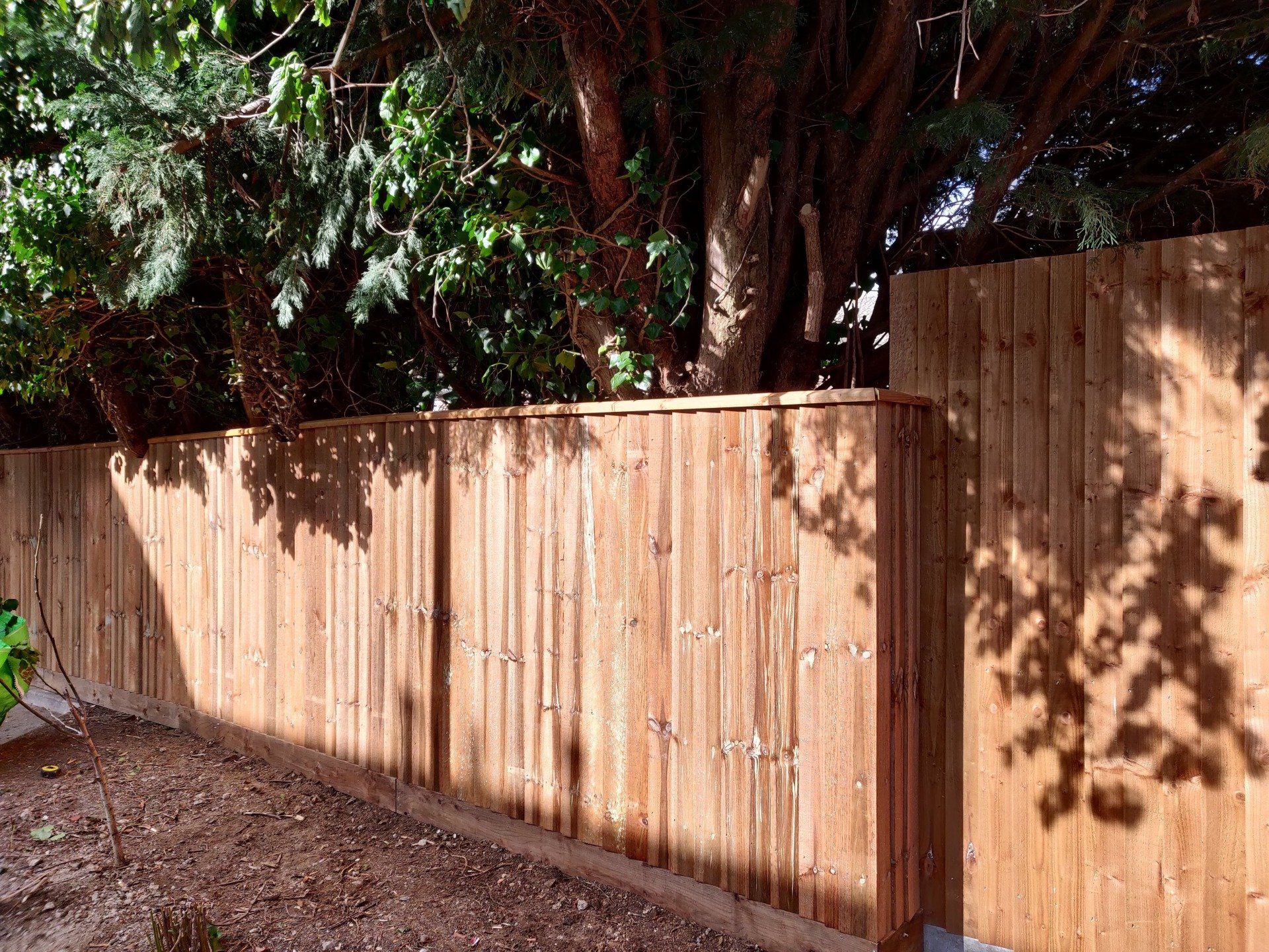 Finished feather edge wooden fence showing 2 different heights.