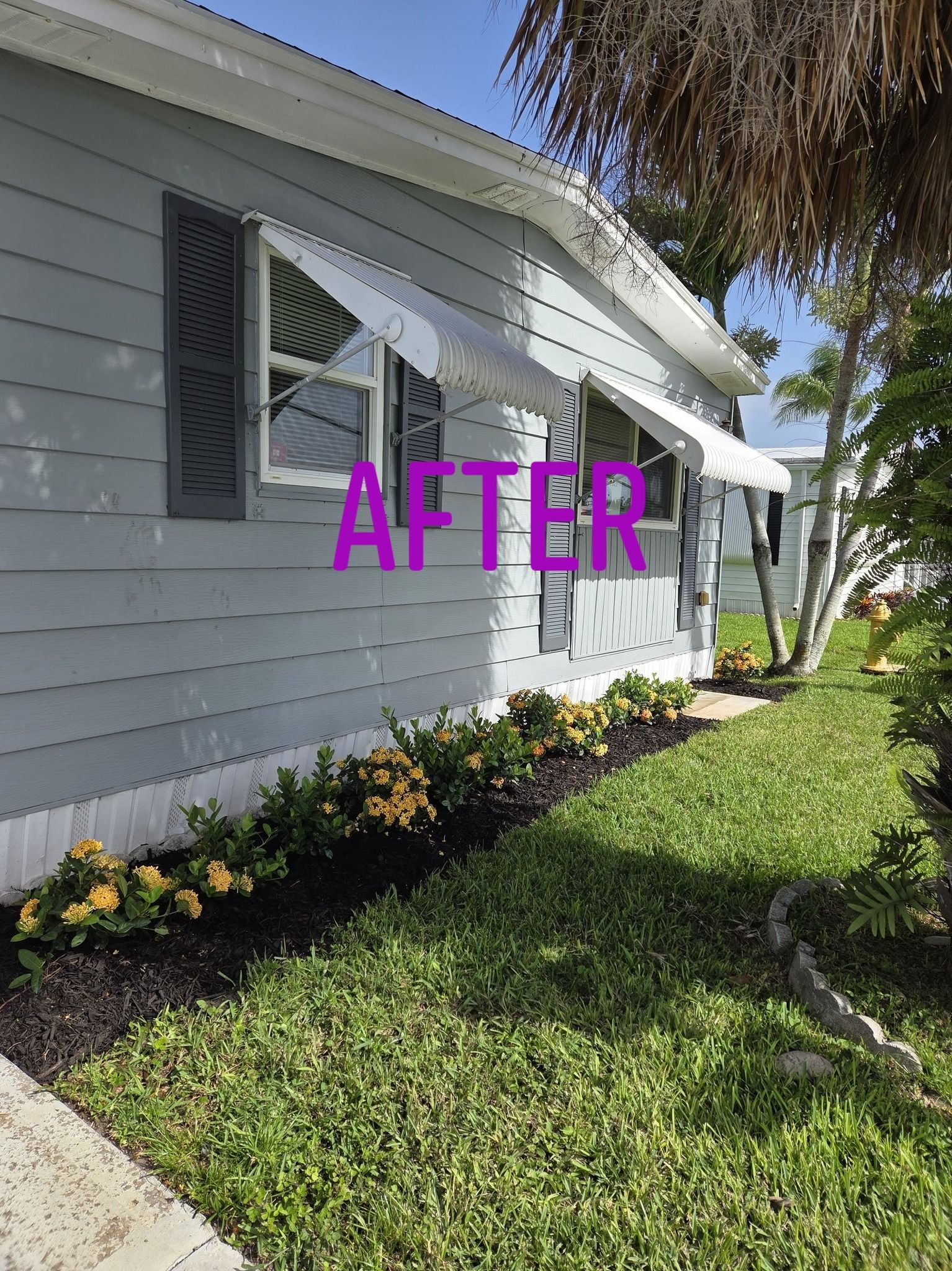 Exterior view of a light blue house with awnings, dark shutters, and a landscaped bed with yellow flowers and dark mulch.