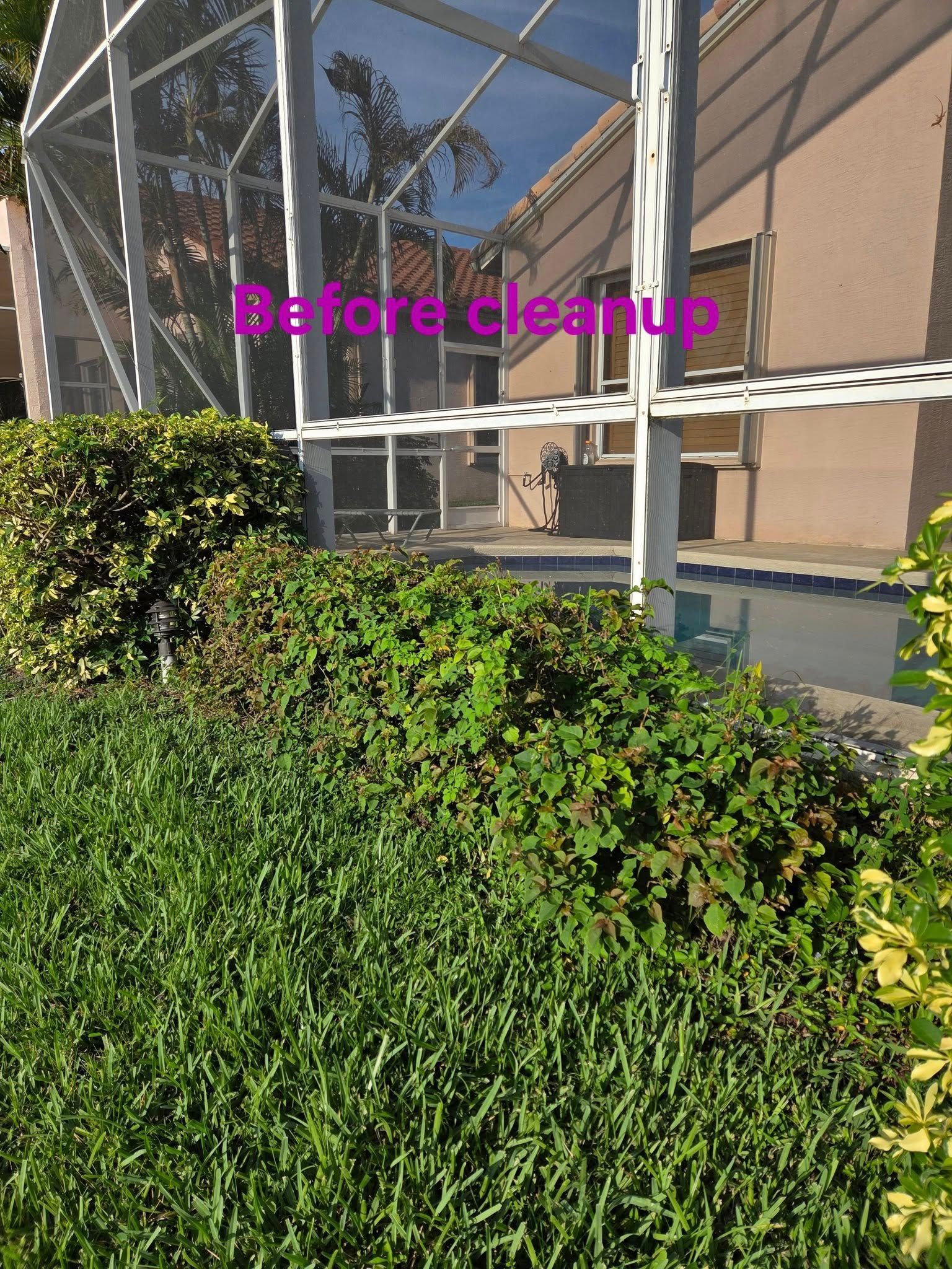 Before cleanup of a yard with a pool. Green grass and bushes surround the pool cage.