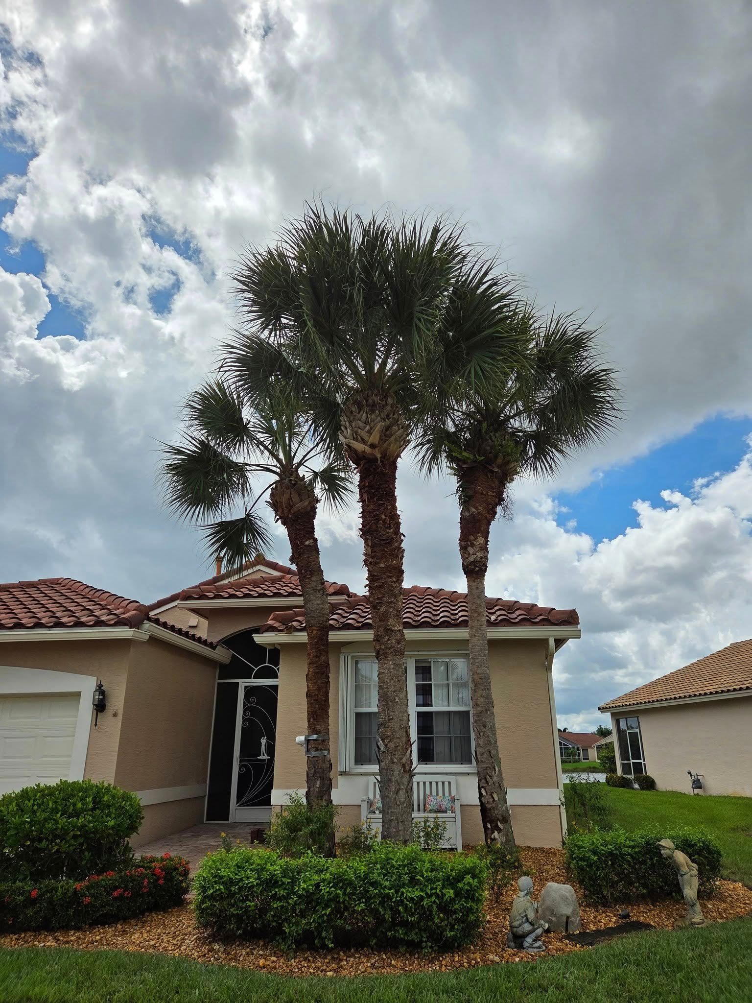 Three palm trees in front of a tan house with a red tile roof, under a cloudy sky.