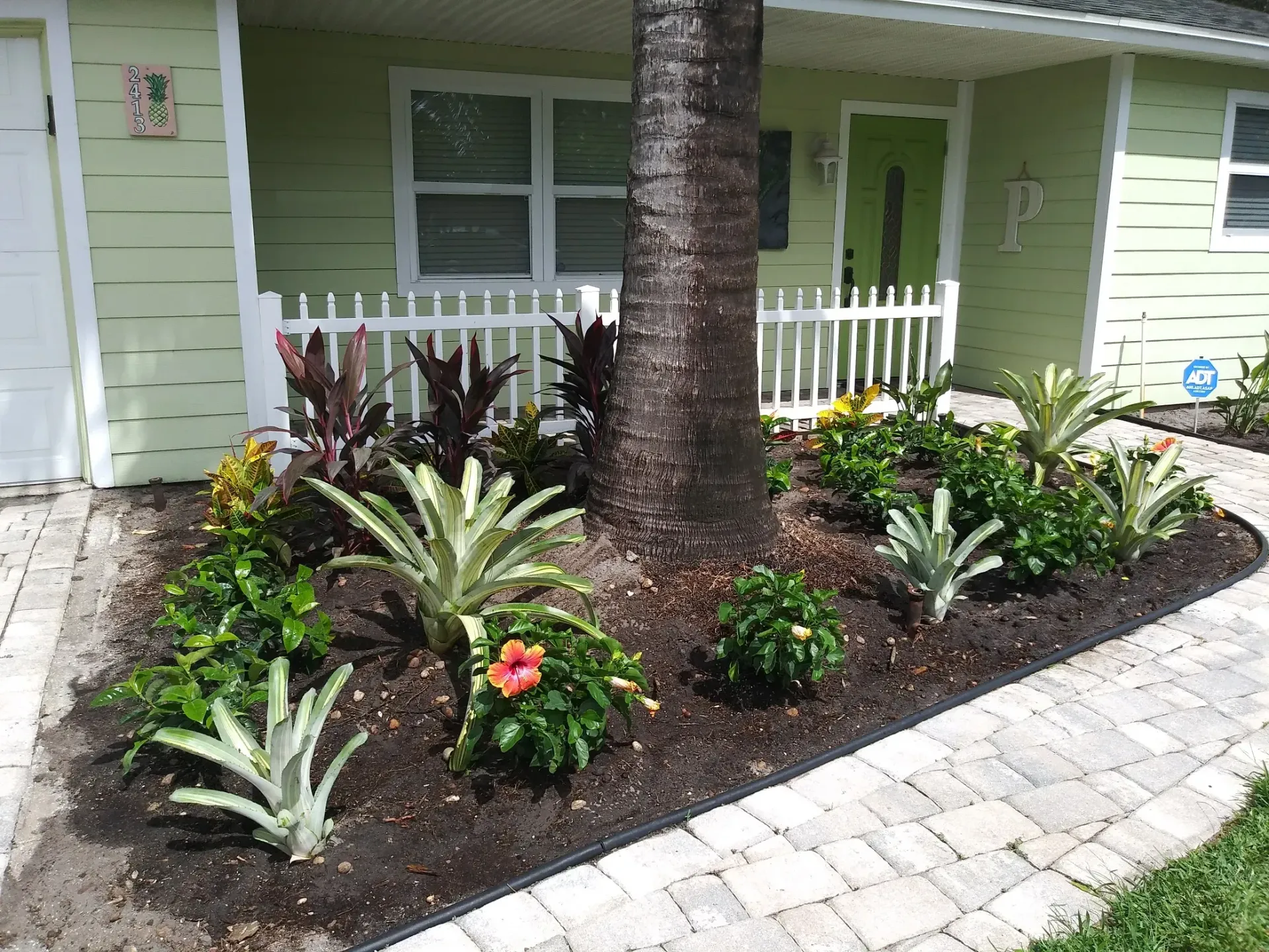 Front yard landscaping with a tree surrounded by tropical plants, next to a pale green house.