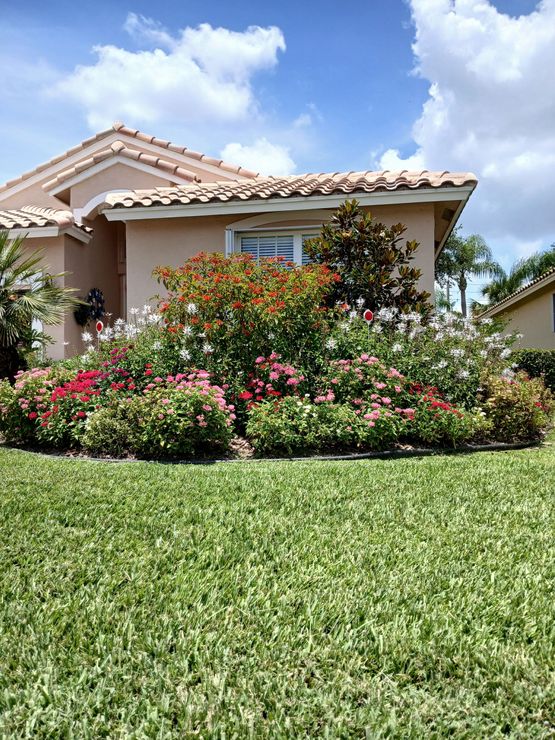 A garden scene with a pond, waterfall, and wooden dock, surrounded by lush plants and flowers.