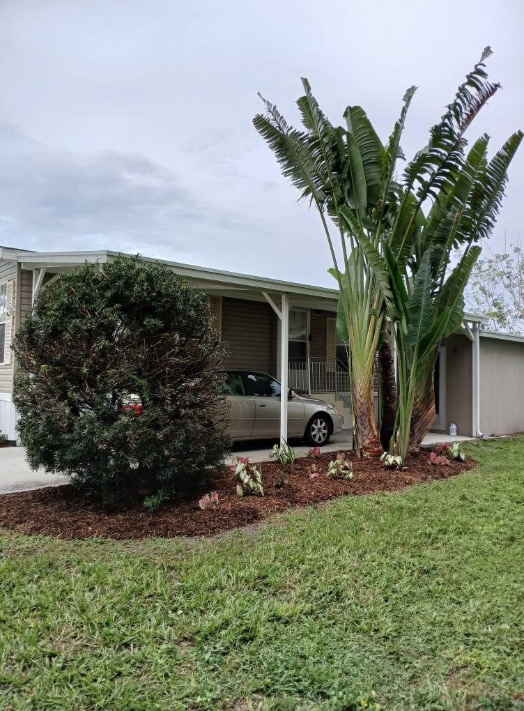 A tan mobile home with a car parked under a carport. A large bird of paradise plant is next to the entrance.