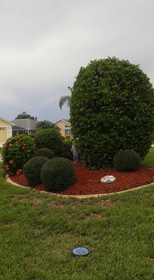 A landscaped flower bed with rounded green bushes and red mulch sits in a yard with a cloudy sky.