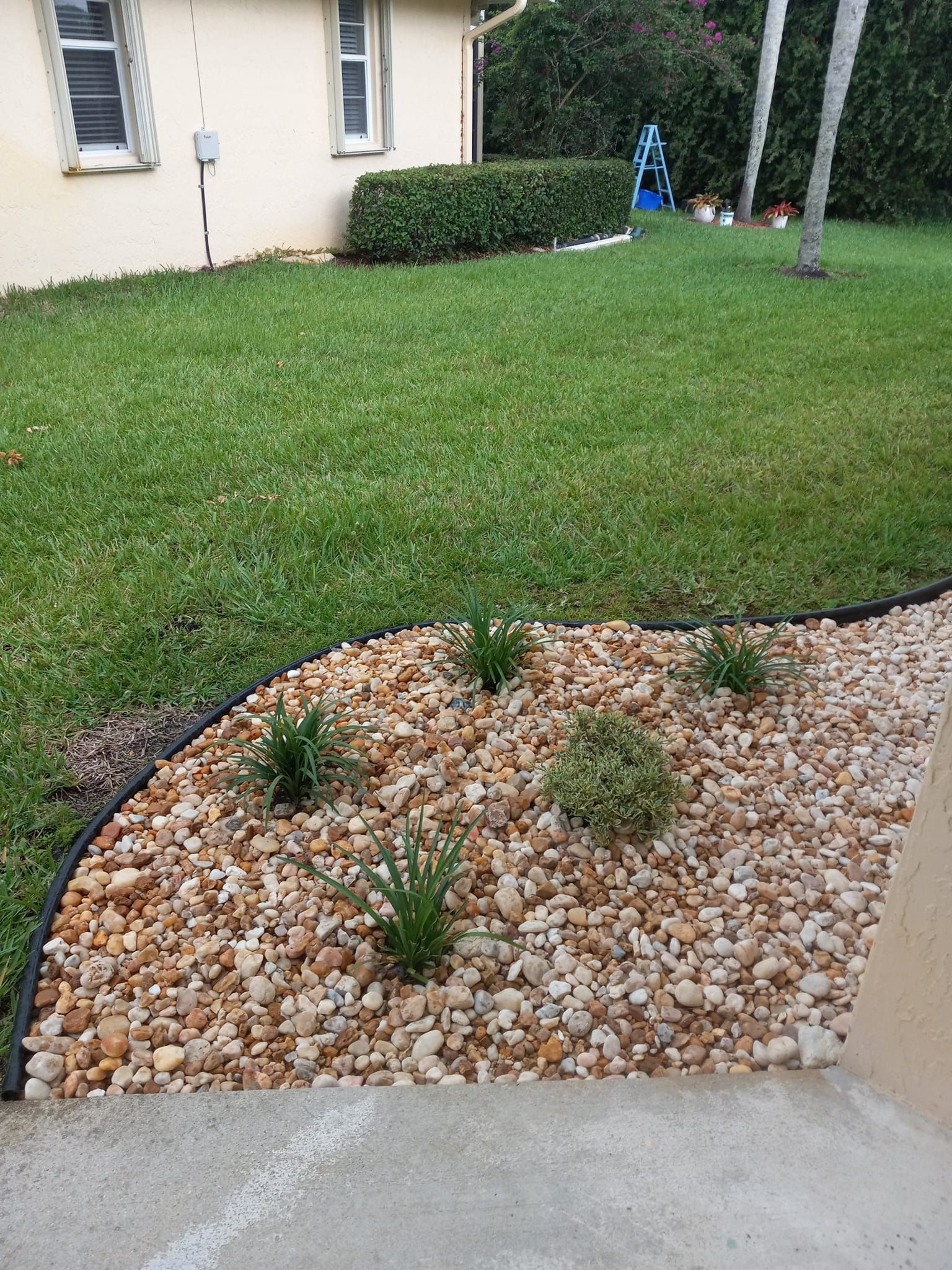 A landscaped yard with tan river rocks, green grass, and small plants.