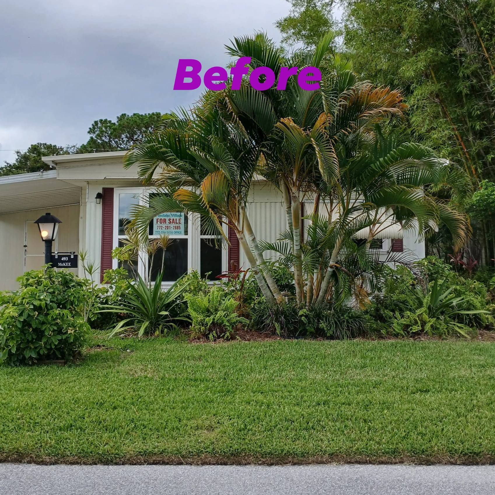 House exterior with overgrown landscaping; 