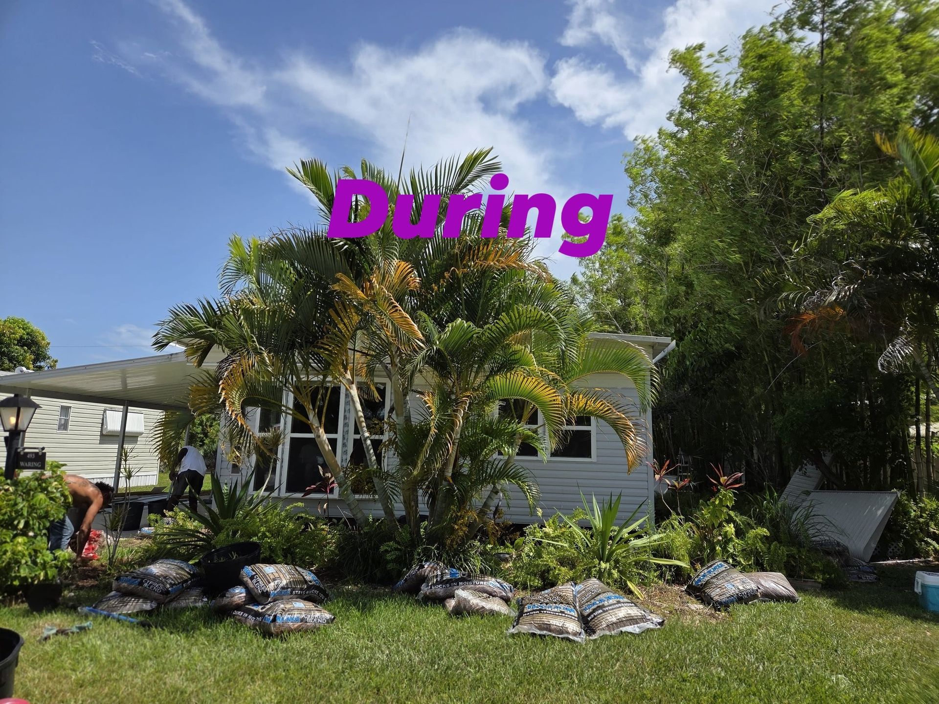 A house surrounded by foliage. Text 