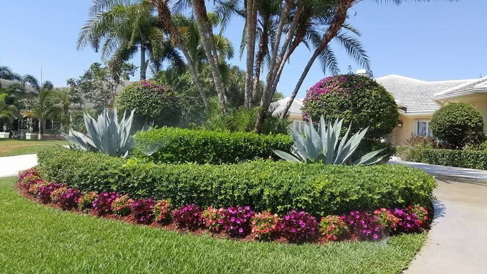 Landscaped front yard with green lawn, curved hedges, flowers, and agave plants.