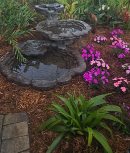 Lush green garden with a neatly trimmed lawn, vibrant plants, and trees in the background.