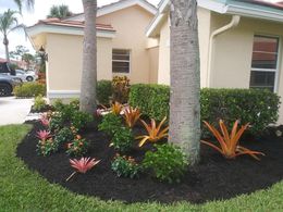 Landscaped front yard with black mulch, colorful plants, and palm trees. Light yellow house in background.