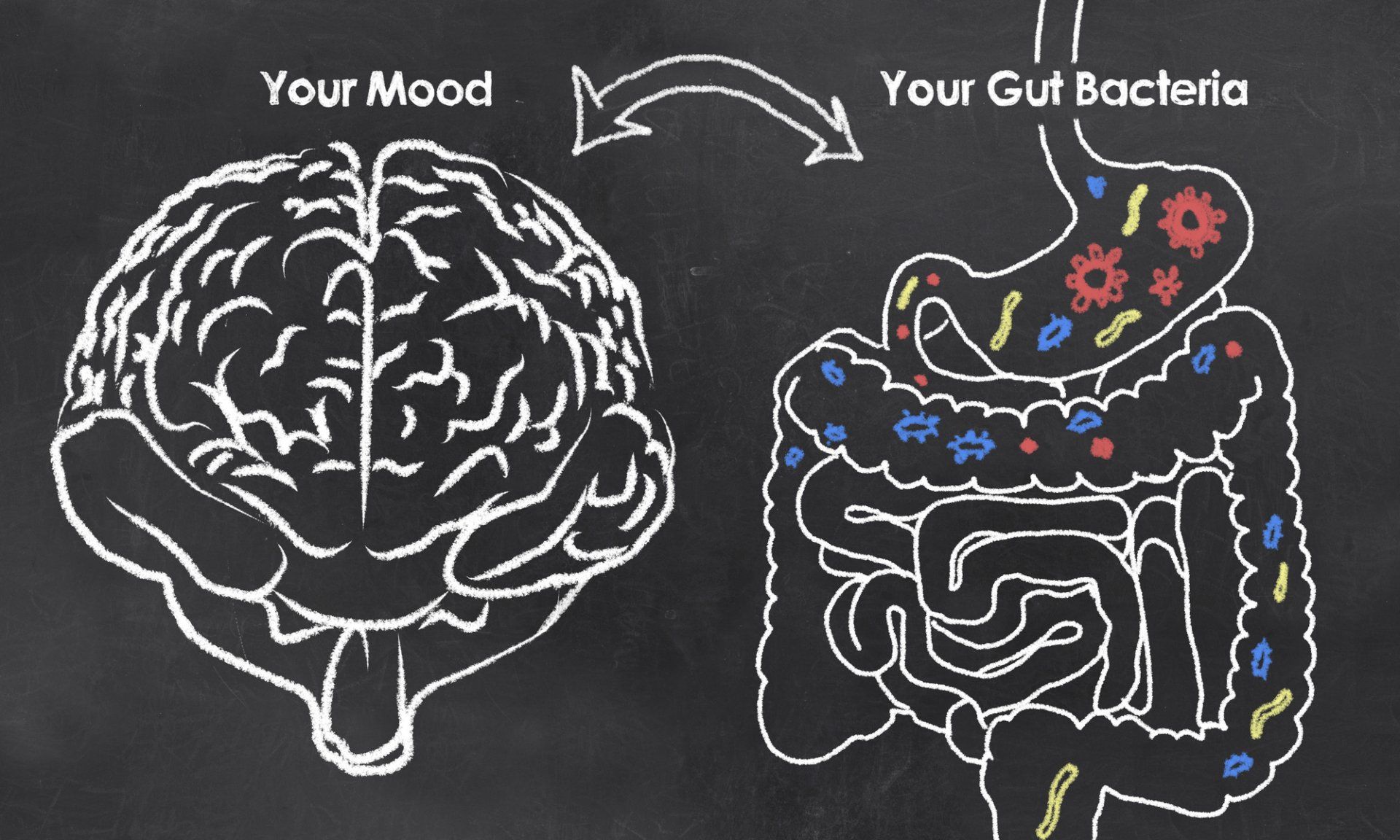 serotonin, depression, connection between gut and mental health, gut bacteria, neurotransmitters