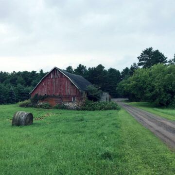 a red barn is sitting in the middle of a grassy field next to a dirt road .