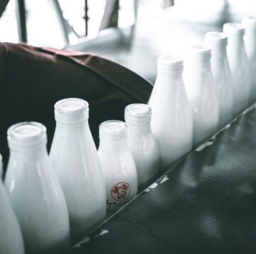 a row of white bottles are lined up on a conveyor belt .