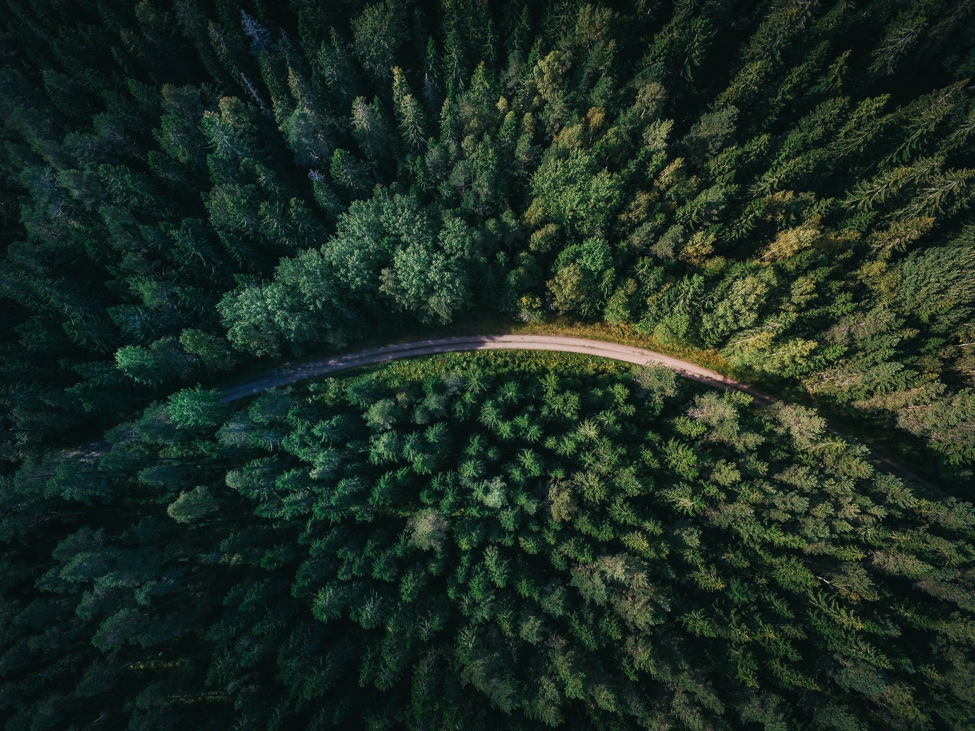 an aerial view of a road going through a forest .