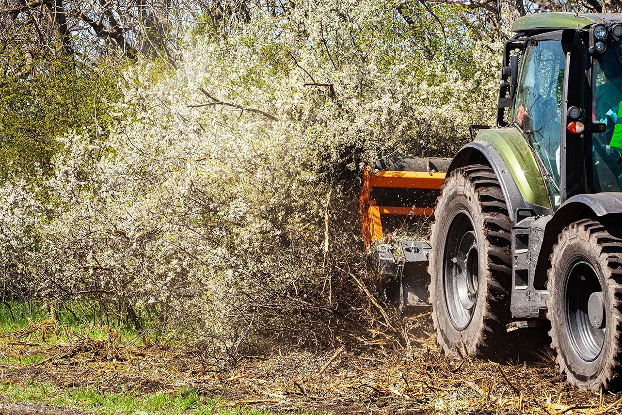 A green tractor with a mounted mechanical shredder processes brush and tree branches in a sunny, outdoor orchard setting.