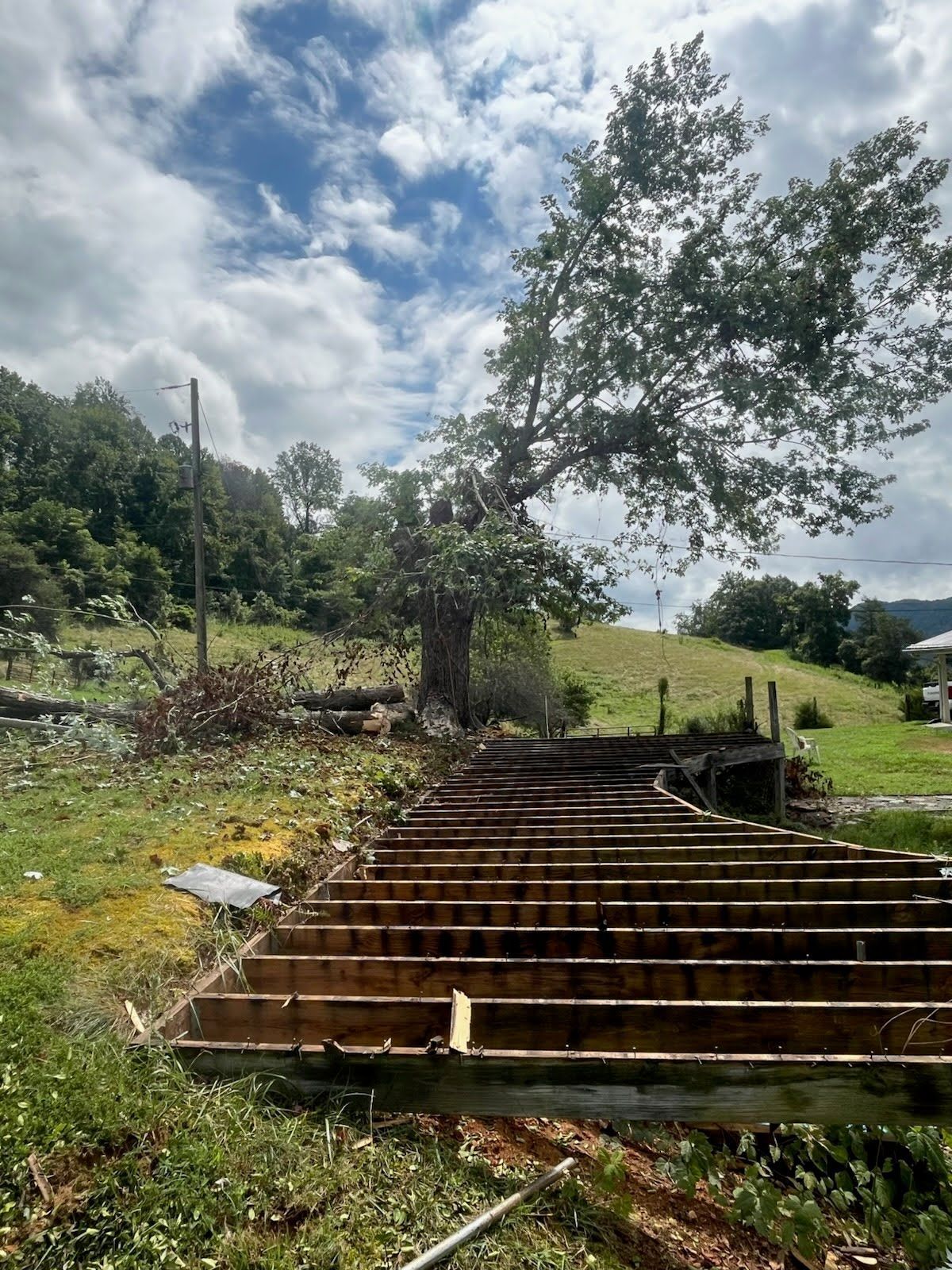 A wooden deck frame stands in a grassy field next to a large, leaning tree under a cloudy sky.