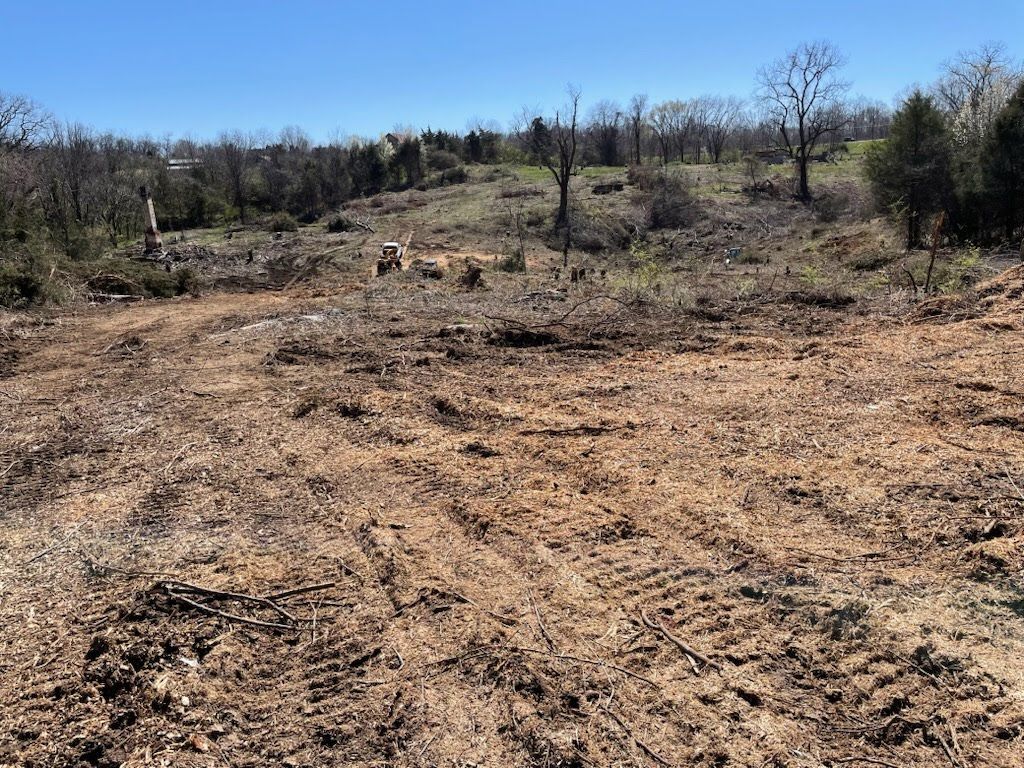 A clearing in a wooded area with patches of bare earth, debris, and scattered trees under a clear blue sky.