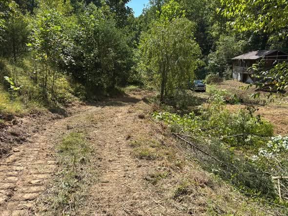 A dirt path carved through a wooded area leads toward a house with a car parked nearby.