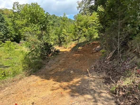 A dirt path winds through a rural, wooded landscape with green trees under a partly cloudy sky.