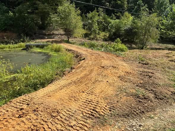 A dirt road with tire tracks curves alongside a green, mossy pond with trees in the background.