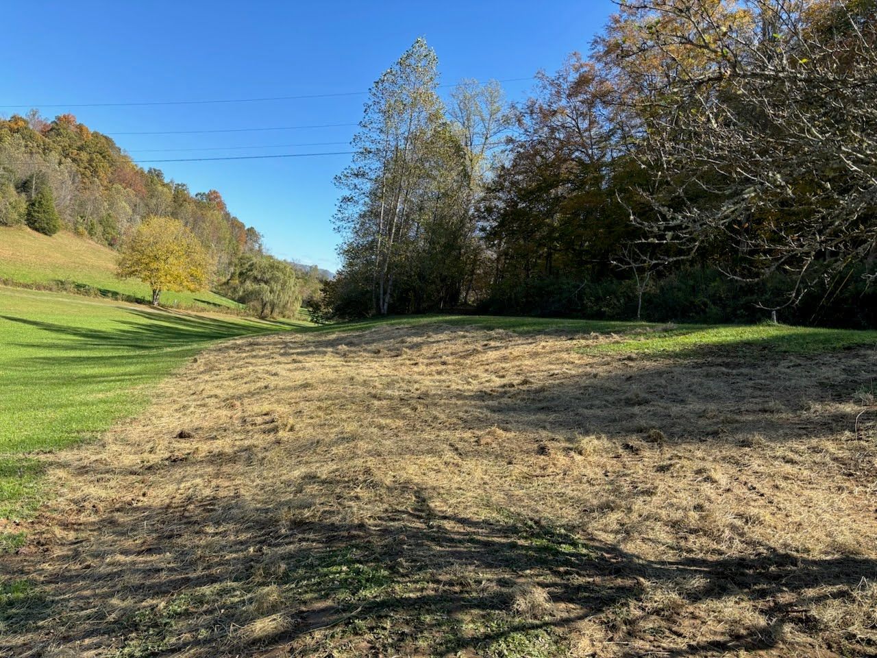 A cleared, tan patch of earth sits in a grassy green field bordered by trees under a clear blue sky.