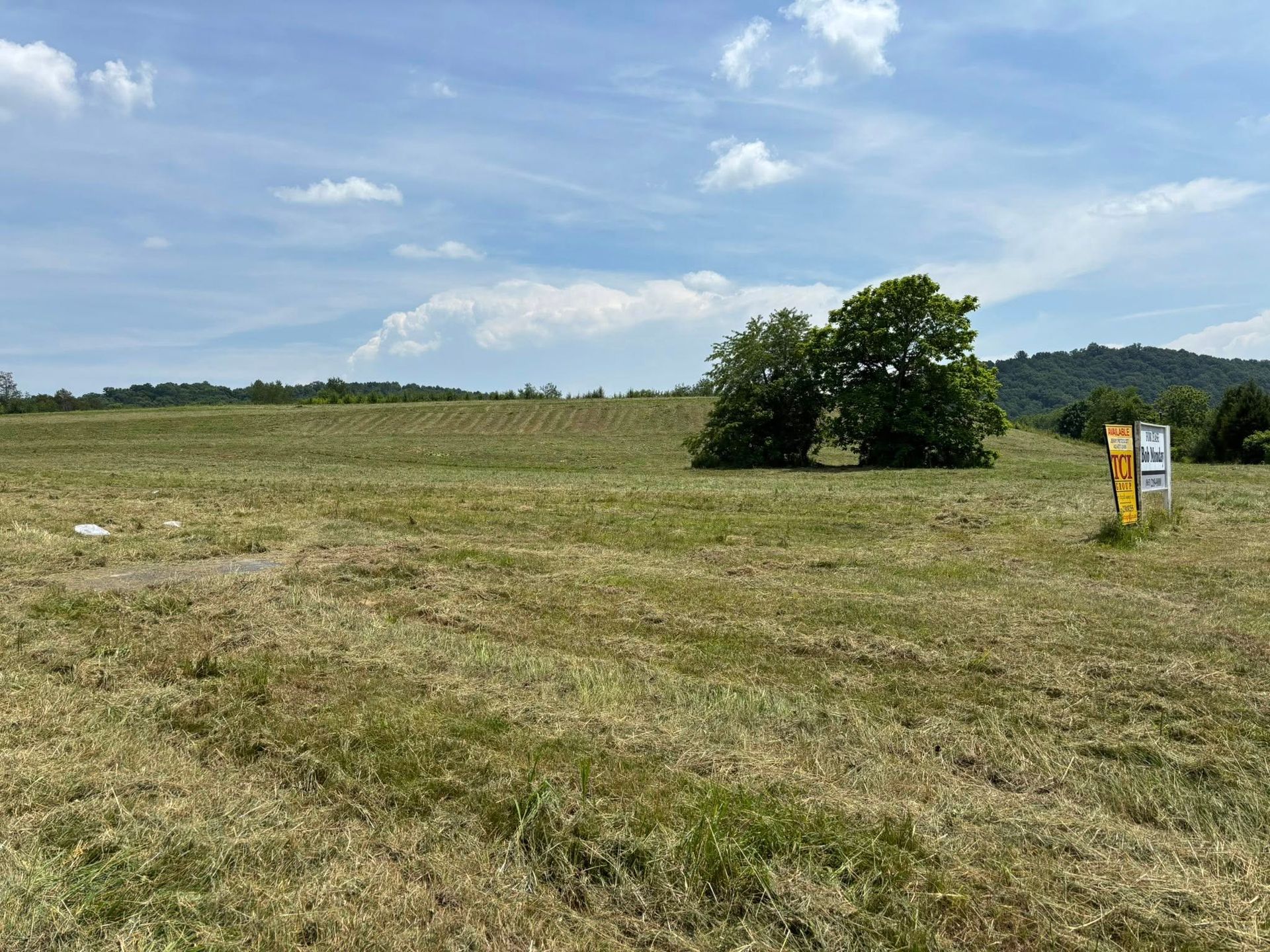 An open, grassy field under a partly cloudy sky with two prominent trees and a real estate sign on the right.