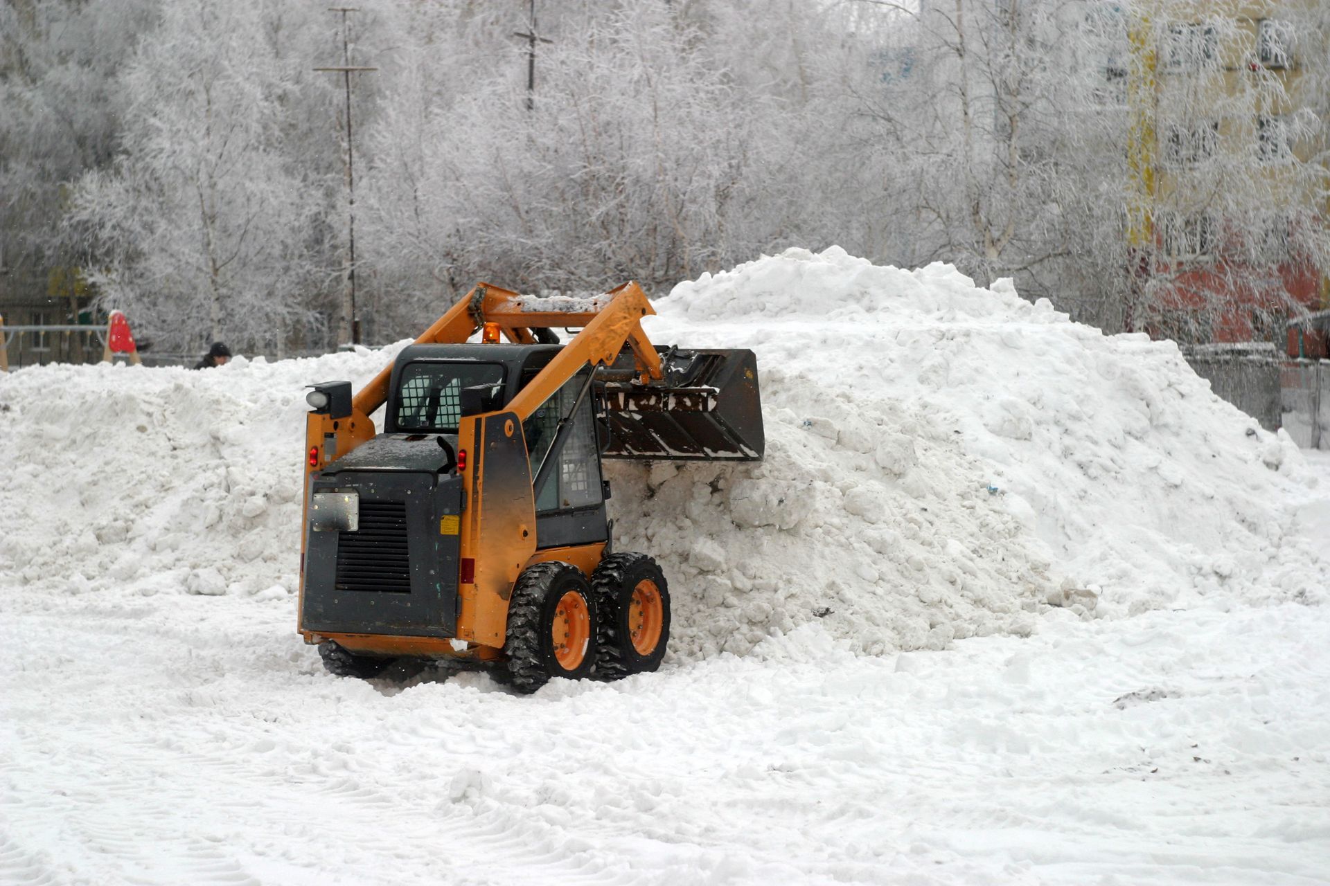 An orange skid-steer loader pushing a large pile of snow in a wintry, frost-covered outdoor setting.