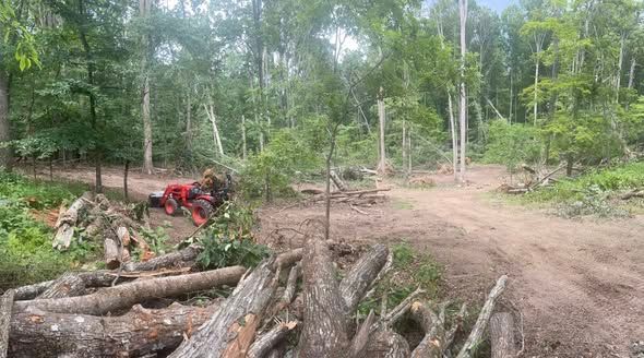 A red tractor sits in a wooded clearing with a large pile of felled logs in the foreground and a dirt path nearby.