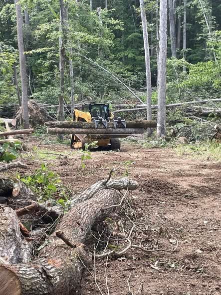 A yellow skid steer carries logs through a cleared forest area with dirt paths and standing trees.