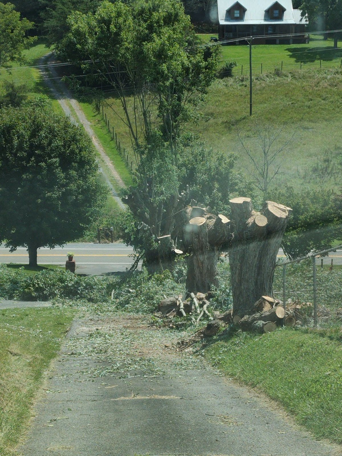Freshly pruned tree stumps and debris along a driveway near a rural road and a house in the background.