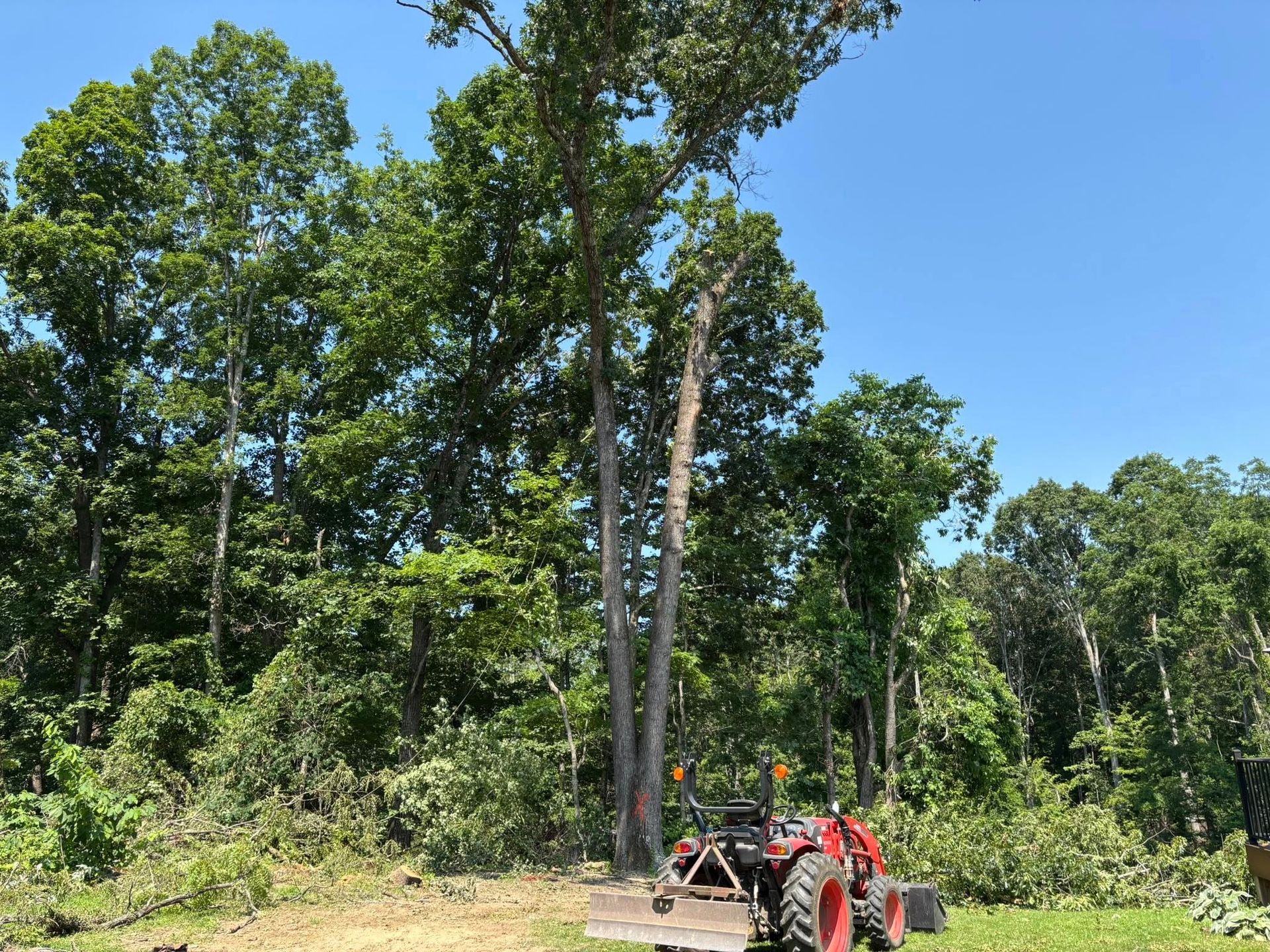 A red tractor sits at the edge of a cleared area next to tall trees under a clear blue sky.