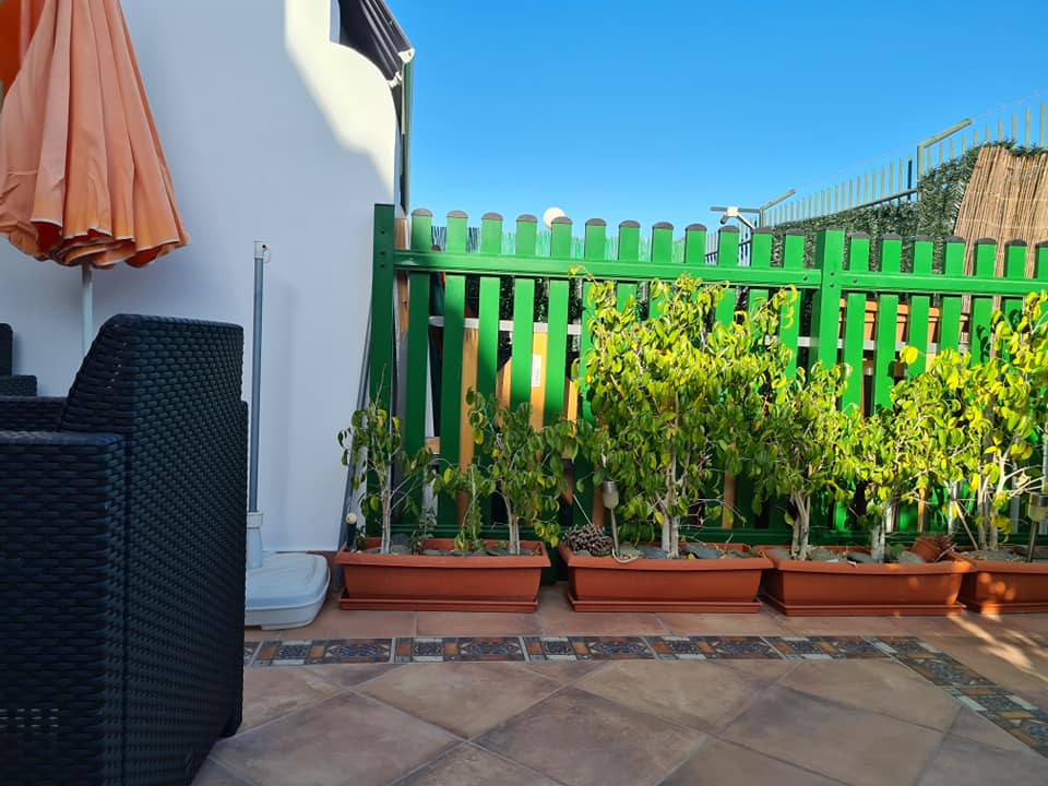 Eine Terrasse mit grünem Zaun und Topfpflanzen