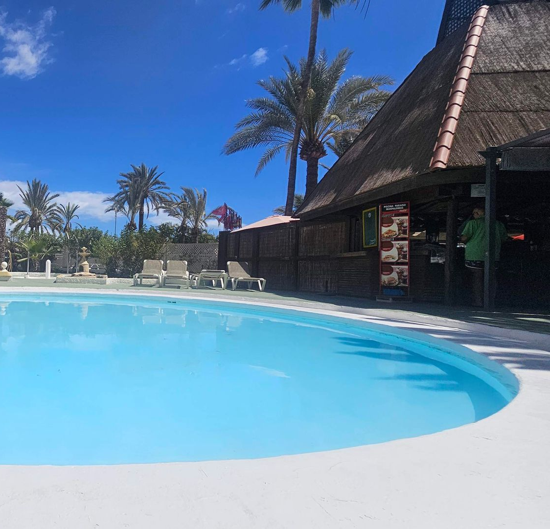 Ein großer Swimmingpool, umgeben von Palmen an einem bewölkten Tag