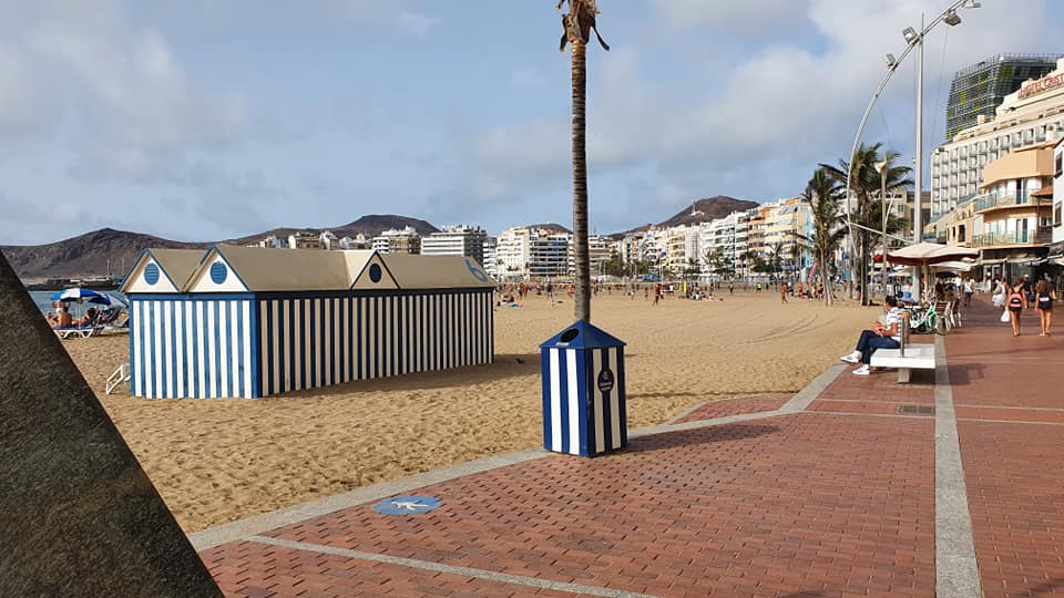 Ein Strand mit gestreiften Hütten und einer Palme