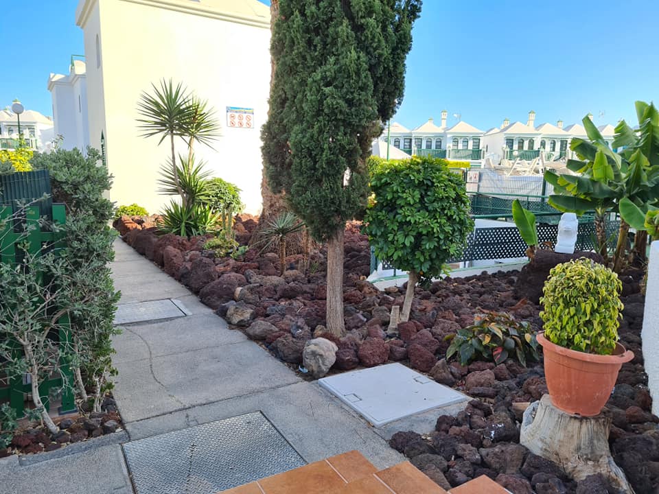 Ein üppiger grüner Garten mit einem weißen Gebäude im Hintergrund