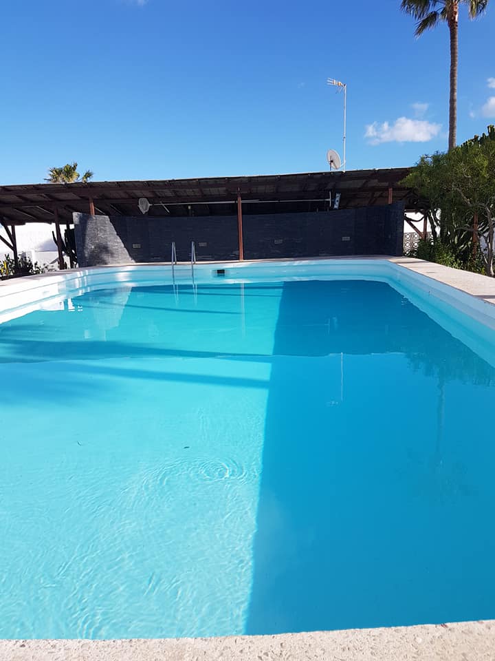 Ein großer Swimmingpool mit einer Palme im Hintergrund