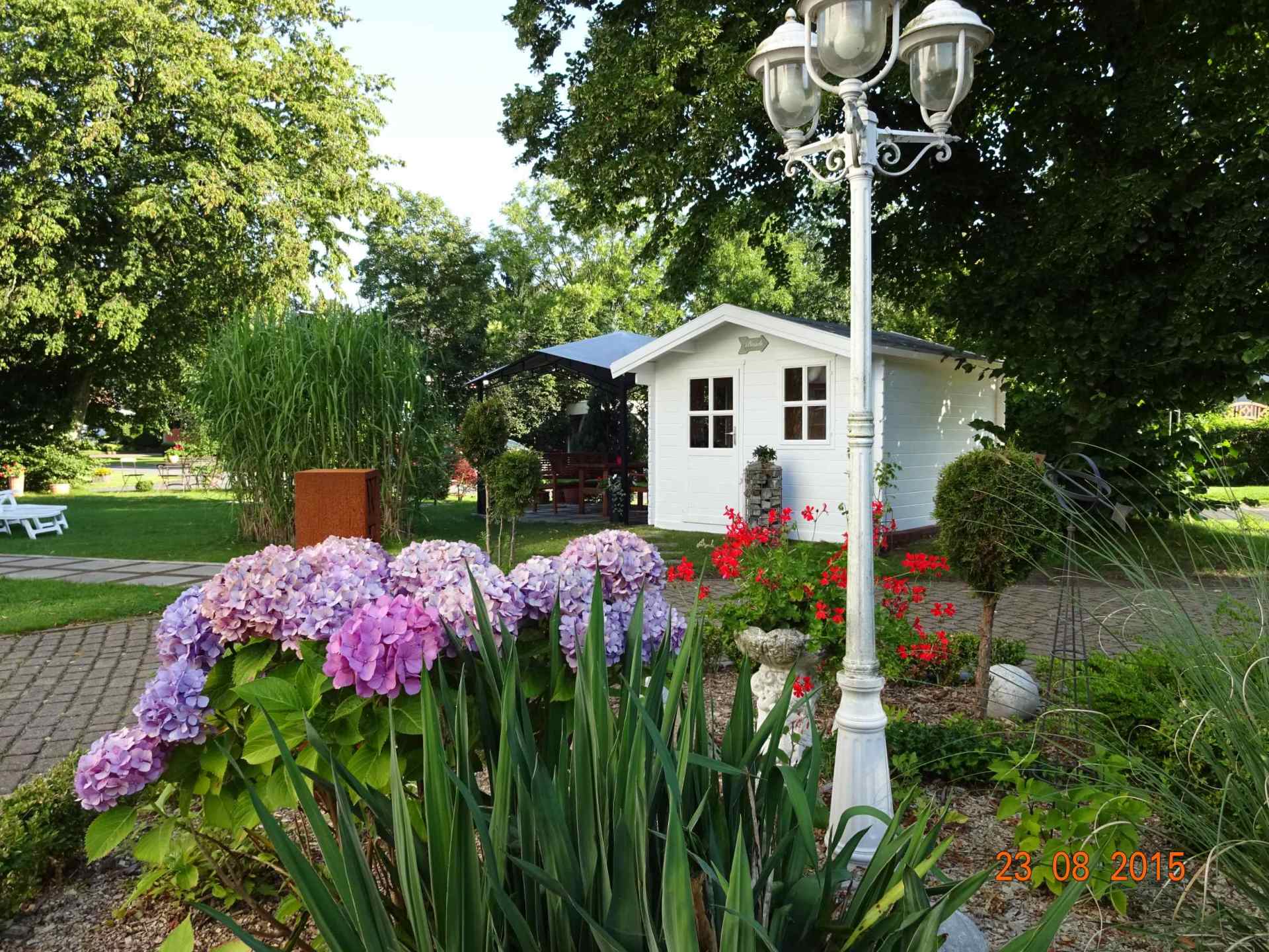 Ein Garten mit lila Blumen und einem weißen Haus im Hintergrund