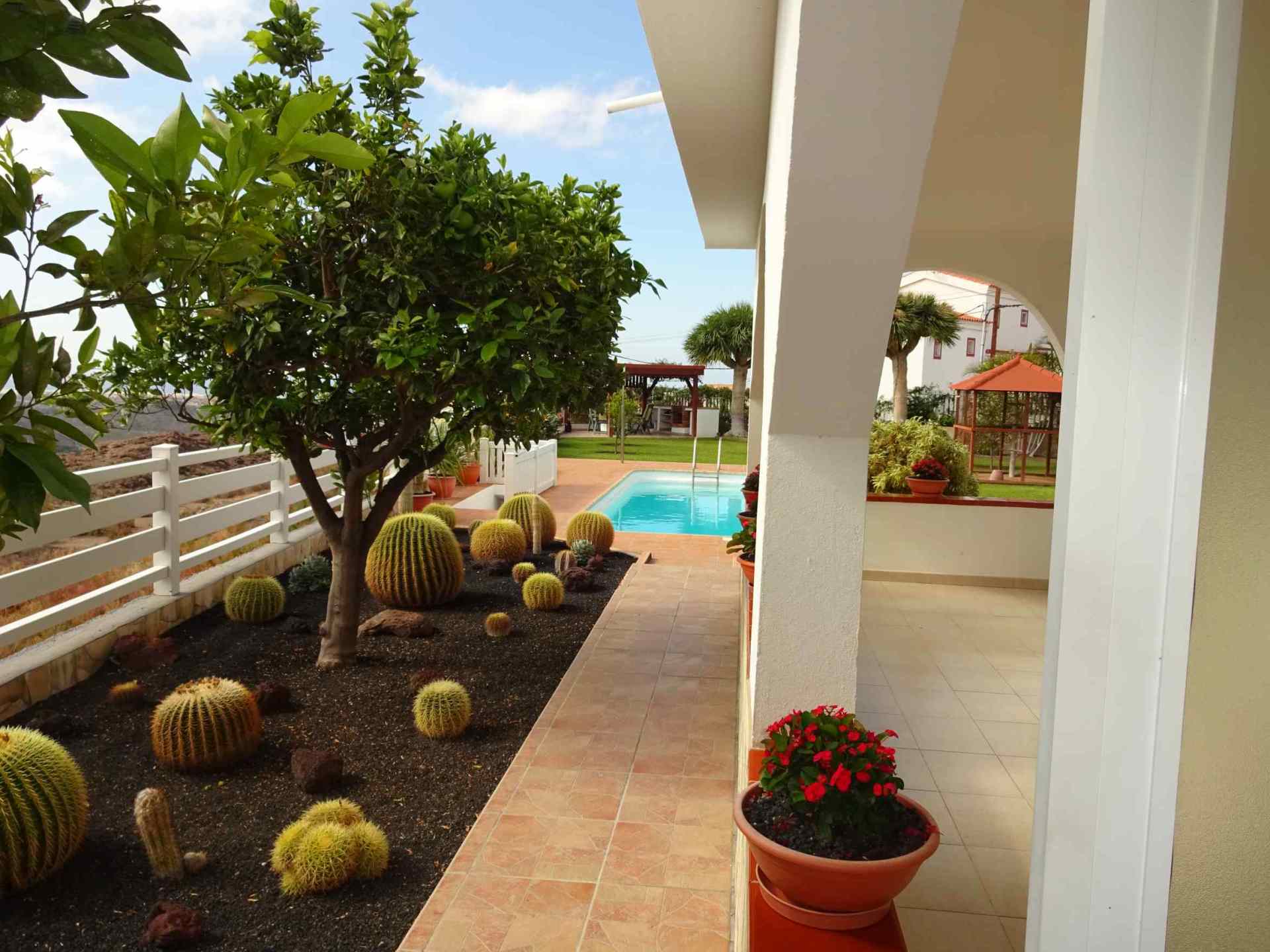 Eine Terrasse mit Kakteen und Blumen und einem Pool im Hintergrund