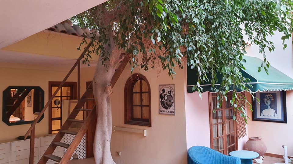 In der Mitte des Raumes steht ein Baum, zu dem eine Treppe hinaufführt.