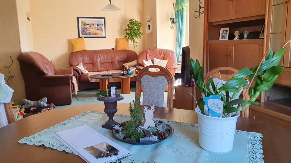 Ein Wohnzimmer mit einer Couch, Stühlen, einem Tisch und einer Topfpflanze auf dem Tisch.