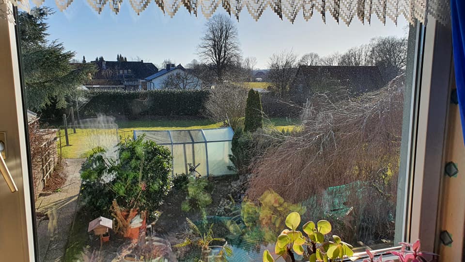Ein Fenster mit Blick auf einen Garten und ein Gewächshaus.