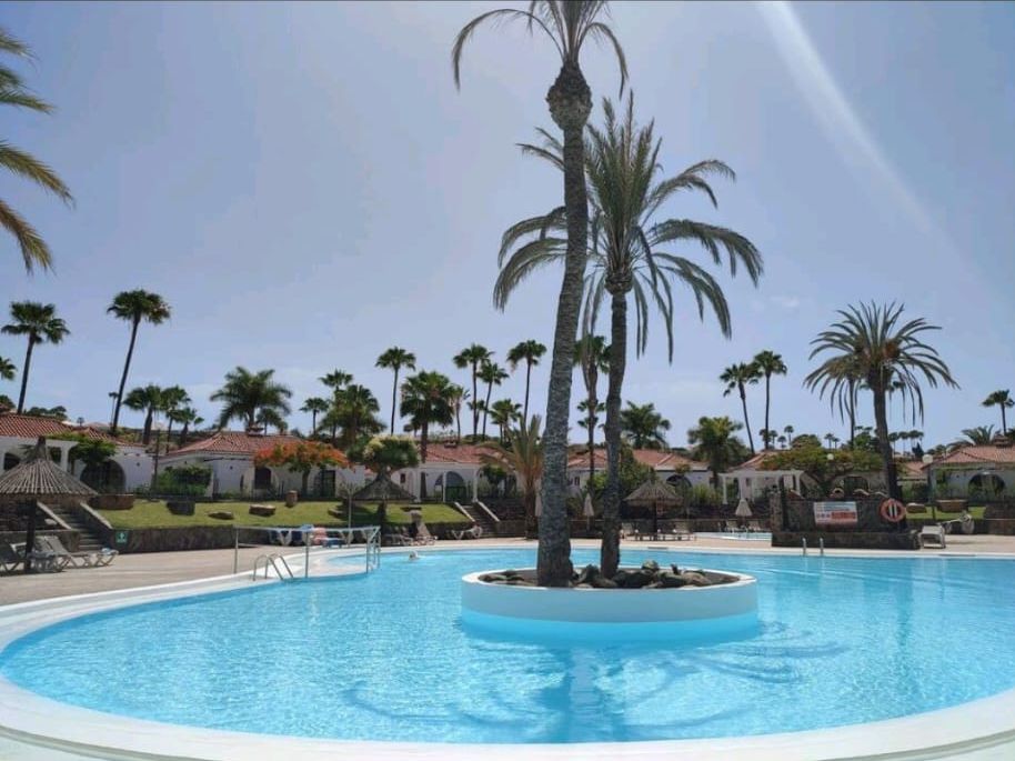 Ein großer Swimmingpool mit Palmen im Hintergrund