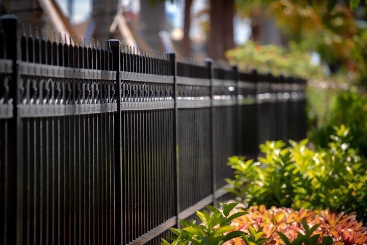 Black wrought-iron fence along a green and orange plant hedge under a bright sky.