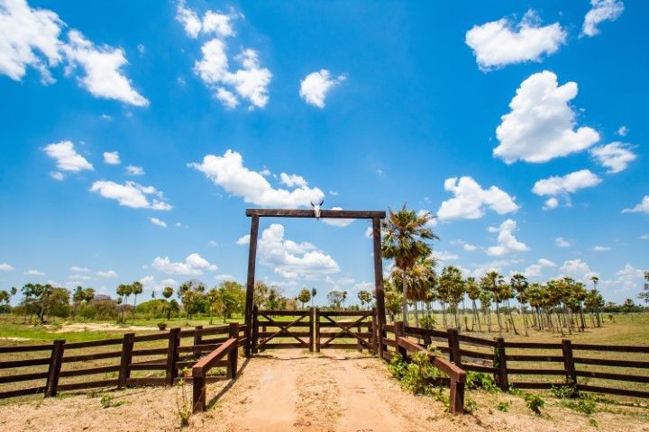 Wooden gate and fence on a dirt road, beneath a blue sky with fluffy clouds.
