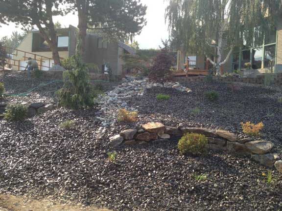 Burned Lawn Close Up — Landscape Contractors in East Wenatchee, WA